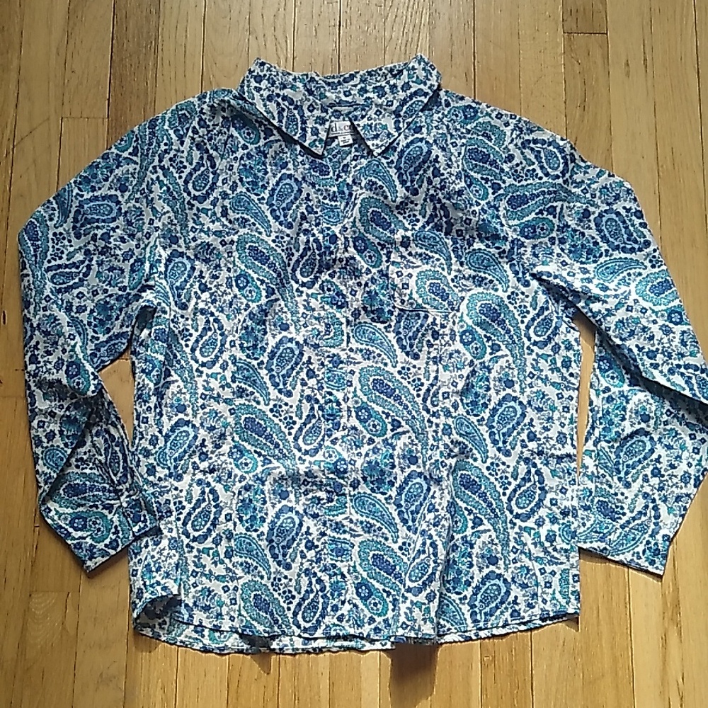 d&co. blue blouse button up XL